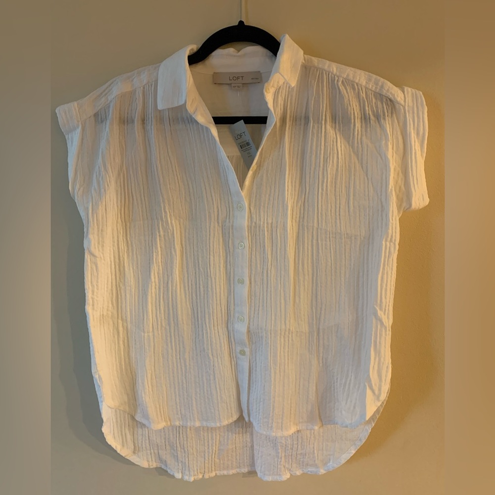 Ann Taylor Loft Shirt Top